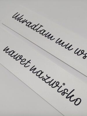 Zestaw tablic personalizowanych rejestracyjnych (różne kolory)